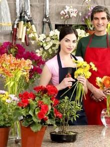 Открыть цветочный магазин с нуля