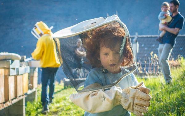 Пчеловодство как бизнес