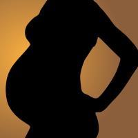 Требования к приказу об отпуске по беременности и родам
