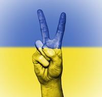 Может ли украинец сейчас открыть ИП в России
